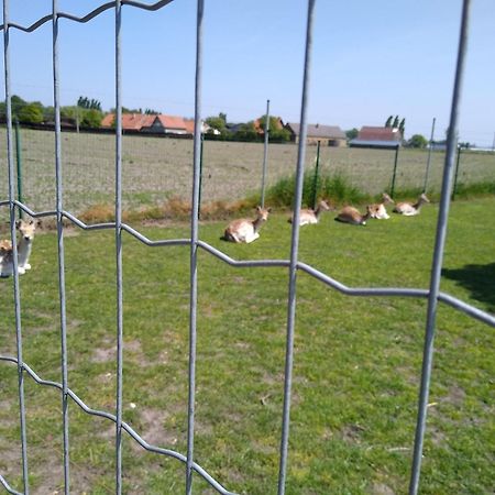 De Lekkermond Pension Diksmuide Buitenkant foto