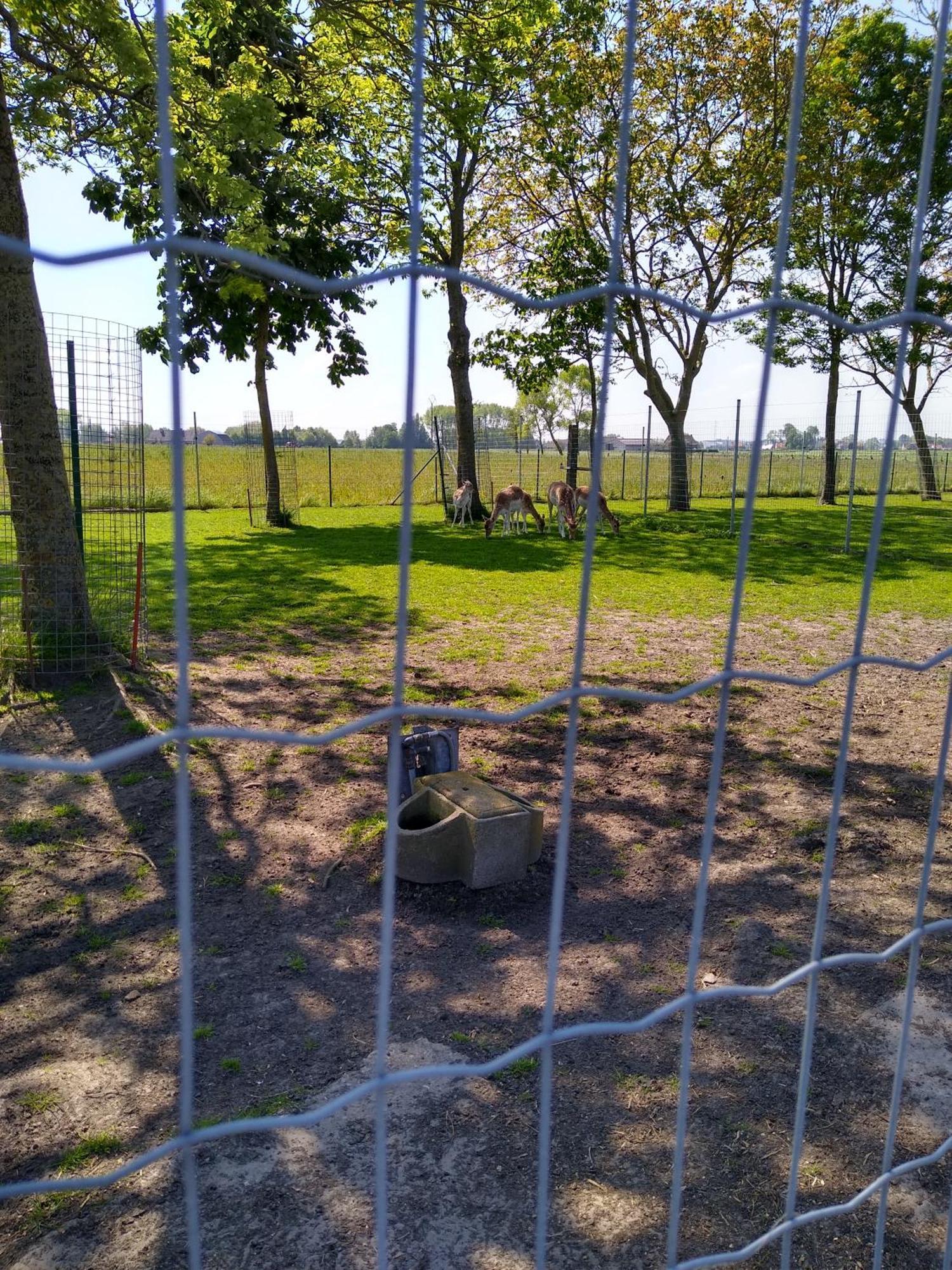 De Lekkermond Pension Diksmuide Buitenkant foto