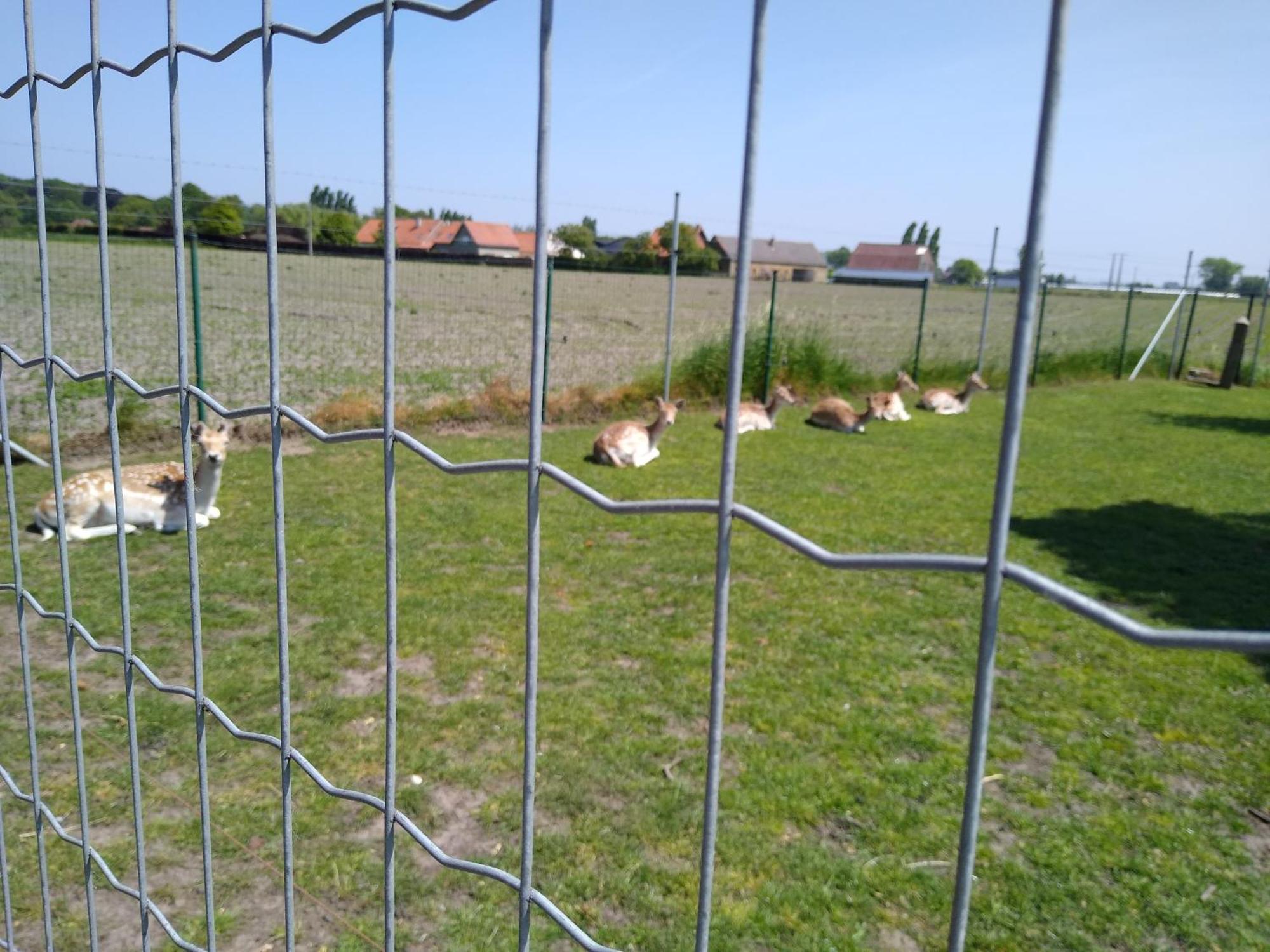 De Lekkermond Pension Diksmuide Buitenkant foto